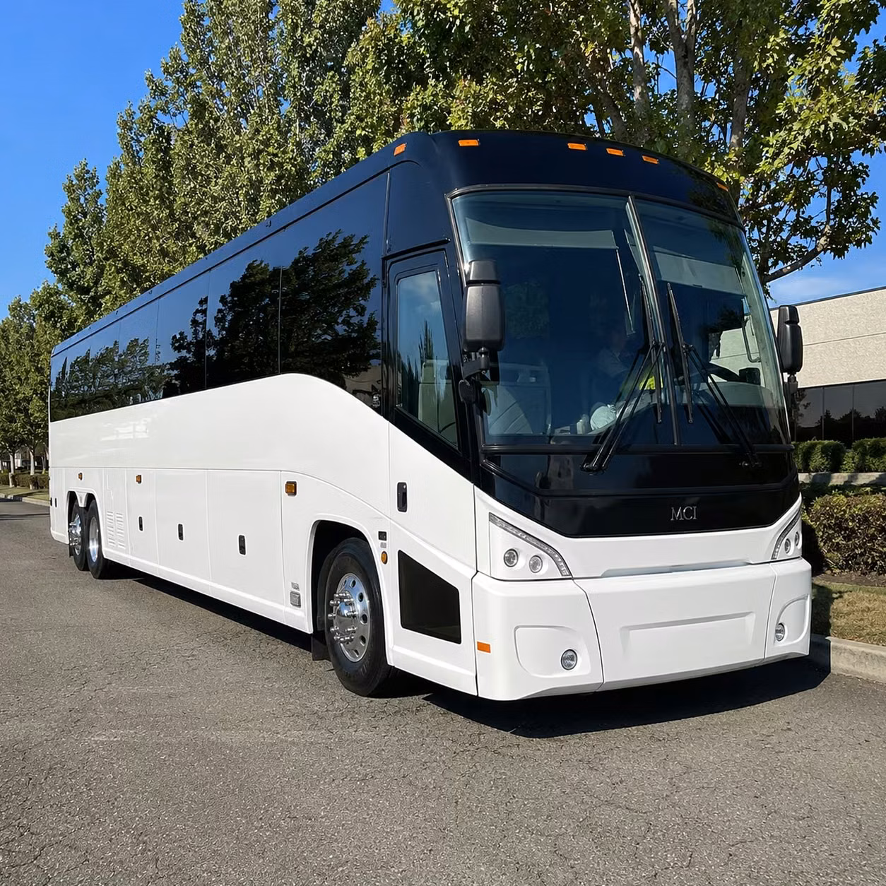 56 passenger charter bus